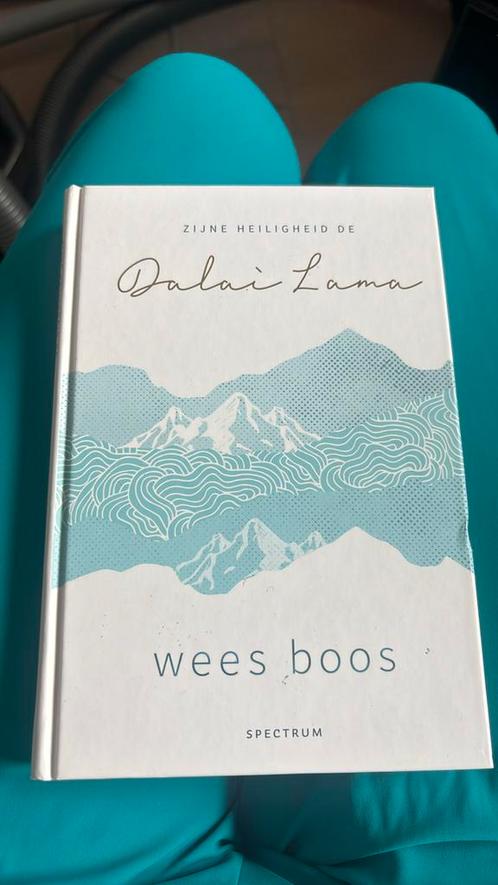 Dalai Lama - Wees boos, Boeken, Psychologie, Zo goed als nieuw, Ophalen of Verzenden