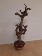 Keramiek, Antiek en Kunst, Antiek | Keramiek en Aardewerk, Ophalen