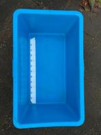 Quarantaine / meetbak voor vijvervissen - 70x40x30cm, Dieren en Toebehoren, Vissen | Vijvervissen, Overige soorten