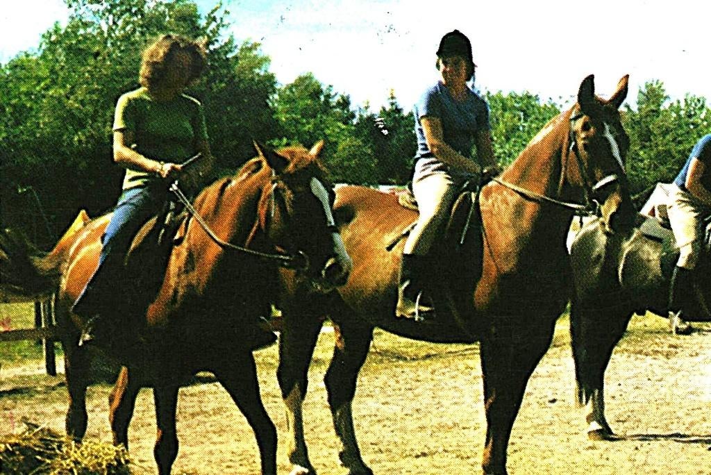 78320 Gasselte Drenthe 1978 De Hoefslag Postzegel afgeweekt, Ophalen of Verzenden, 1960 tot 1980, Gelopen, Drenthe