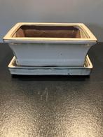 Bonsai schotel met onderschotel., Ophalen of Verzenden, Zo goed als nieuw, Aardewerk, Rechthoekig