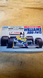 Ongebouwd williams judd fw12, Hobby en Vrije tijd, Modelbouw | Auto's en Voertuigen, Overige merken, Auto, Groter dan 1:32, Ophalen of Verzenden