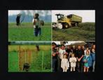 Blijham Bellingwolde Flevoland Grauwe Kiekendief Roofvogel, Ophalen of Verzenden, 1980 tot heden, Ongelopen, Vogel