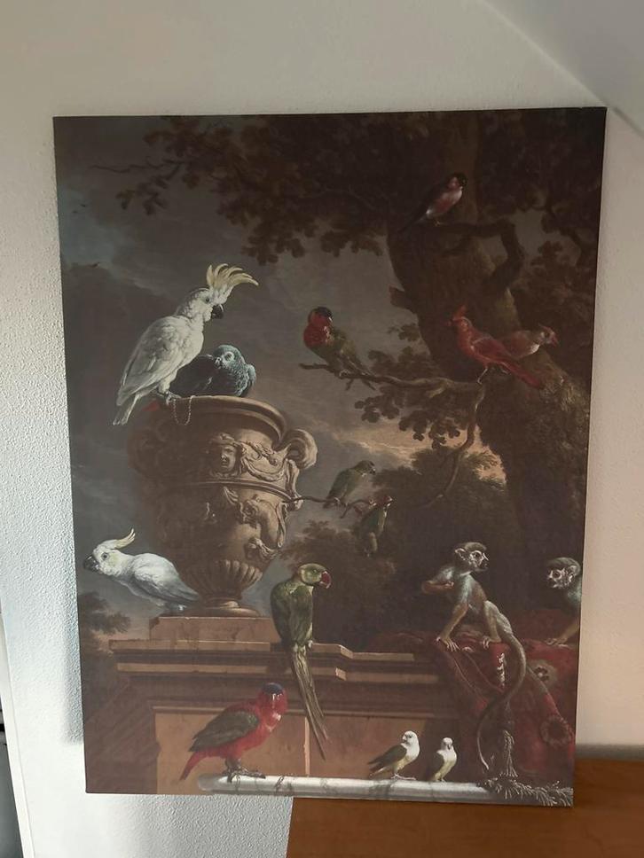 Canvas Schilderij met vogels en apen, Antiek en Kunst, Kunst | Schilderijen | Klassiek, Ophalen of Verzenden