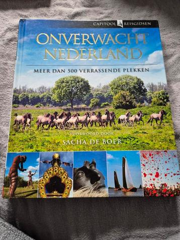 Bartho Hendriksen - Onverwacht Nederland beschikbaar voor biedingen