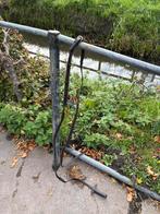 Bruine teugels met grip maat full, Ophalen of Verzenden, Dressuur