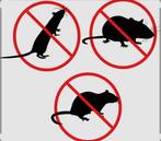 Bestrijding ongedierte heeft u last van plaagdieren ?, Dieren en Toebehoren, Bijen