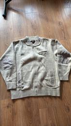 Vest, Kleding | Heren, Grote Maten, Ophalen of Verzenden, Zo goed als nieuw, Trui of Vest