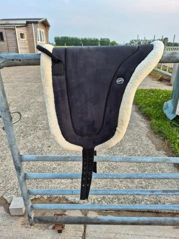 barebackpad pony beschikbaar voor biedingen