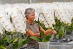 Manager Productmanagement & Planning, 33 - 40 uur, Tijdelijk contract