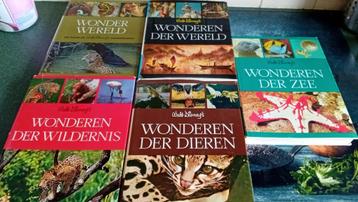Disney (Walt) natuurboeken 5 stuks. beschikbaar voor biedingen