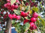 Rode sierappels, Ophalen, Nieuw, Materiaal
