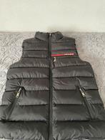PRADA BODYWARMER AANBIEDING, Kleding | Heren, Bodywarmers, Maat 48/50 (M), Zwart, Nieuw, Ophalen of Verzenden