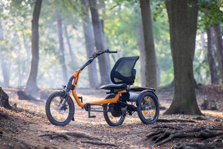 Driewielfietsen van Raam Easy Rider | elektrisch, Fietsen en Brommers, Fietsen | Driewielfietsen, Zo goed als nieuw, Ophalen