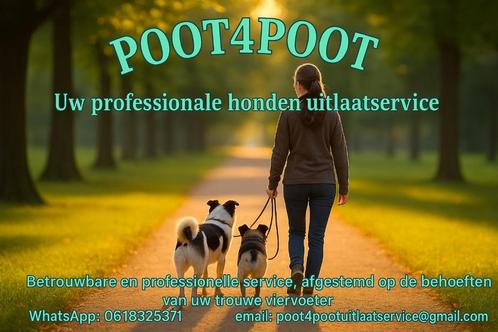 Honden uitlaatservice, Diensten en Vakmensen, Dieren | Honden | Verzorging, Oppas en Les, Uitlaatservice