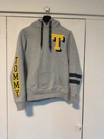 Tommy Hilfiger, Ophalen of Verzenden, Zo goed als nieuw, Maat 46 (S) of kleiner, Grijs