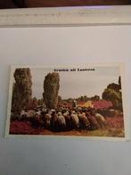 GROETEN UIT  LUNTEREN. - HERDER MET SCHAPEN, Ophalen of Verzenden, 1960 tot 1980, Gelderland