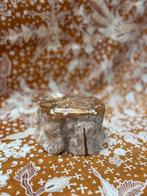 Grote stam versteendhout gepolijst *mineralen&edelstenen*, Ophalen, Mineraal