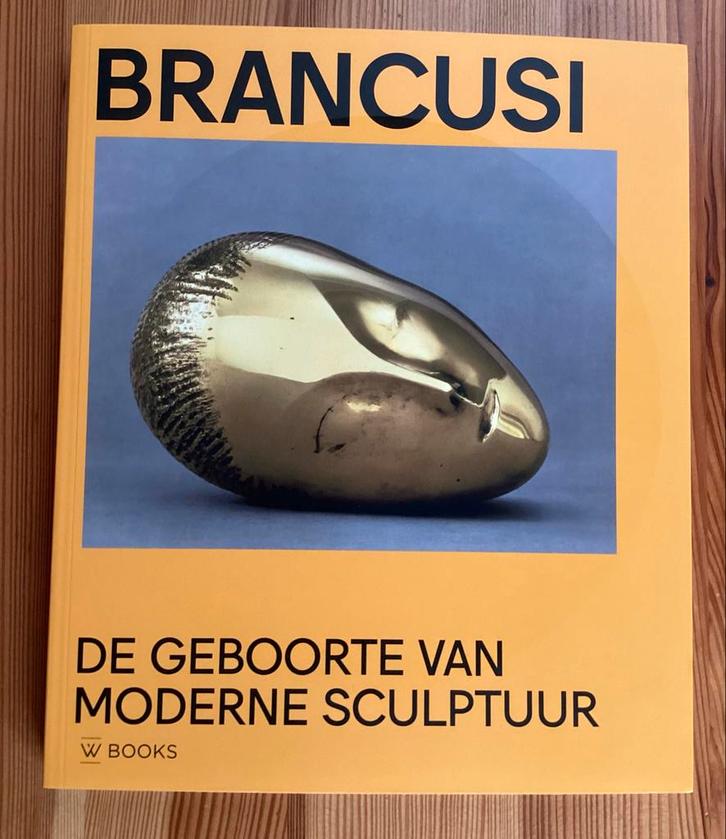 Brancusi - H'ART Museum Catalogus (nieuwstaat), Boeken, Kunst en Cultuur | Fotografie en Design, Zo goed als nieuw, Fotografie algemeen