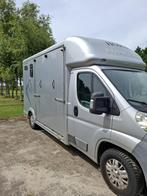 Peugeot Boxer 2010- paardenwagen met maar 74.000 km’s!, Ophalen