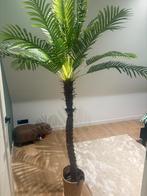 Nep palmboom, Ophalen of Verzenden, Zo goed als nieuw, Binnen