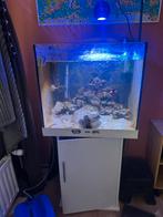 zoutwater aquarium incl. toebehoren, Dieren en Toebehoren, Ophalen, Gevuld zeewateraquarium