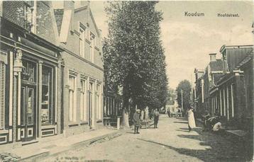 (380-709-009) Koudum Hoofdstraat beschikbaar voor biedingen