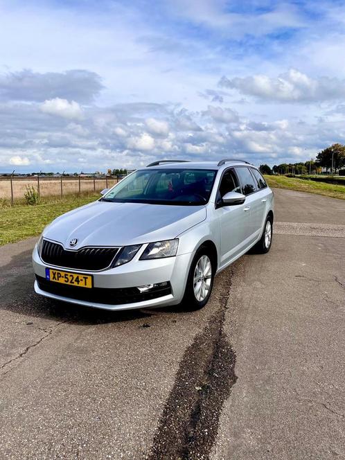 Skoda Octavia 1.0 TSI Greentech 115pk 2019 Grijs, Auto's, Skoda, Bedrijf, Octavia, ABS, Airbags, Airconditioning, Alarm, Bluetooth