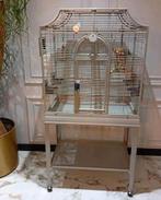 Vogelkooi montana, Dieren en Toebehoren, Ophalen of Verzenden, Zo goed als nieuw, Metaal, Vogelkooi