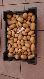 1 krat aardappels soort Steffi, Ophalen