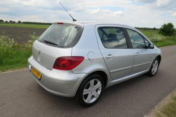Peugeot 307 1.6 16v Graffe 136.000km nap Airco 5drs [ leer beschikbaar voor biedingen