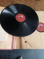 Vinyl speelplaaten 12 stuks  in een Map zi  fotos verzamelin, Ophalen