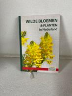 Wilde Bloemen & Planten in Nederland, Bloemen, Planten en Bomen, Nieuw, Diverse auteurs, Ophalen of Verzenden