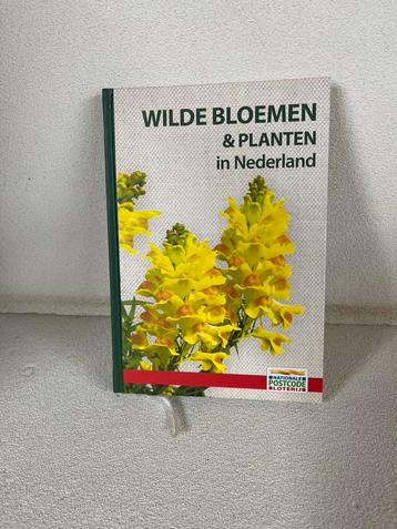 Wilde Bloemen & Planten in Nederland beschikbaar voor biedingen