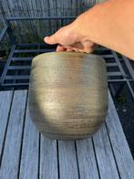 Goudkleurige Ronde Bloempot, Gebruikt, Rond, Binnen, Minder dan 40 cm