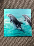 Schilderij dolfijnen zgan, Antiek en Kunst, Ophalen of Verzenden