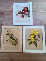 Set antieke botanische prenten uit The Garden in 1887–1899, Ophalen of Verzenden