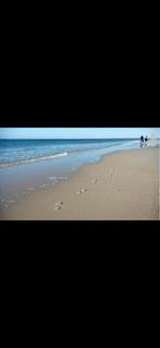 Vakantie aan zee (met paard) Callantsoog