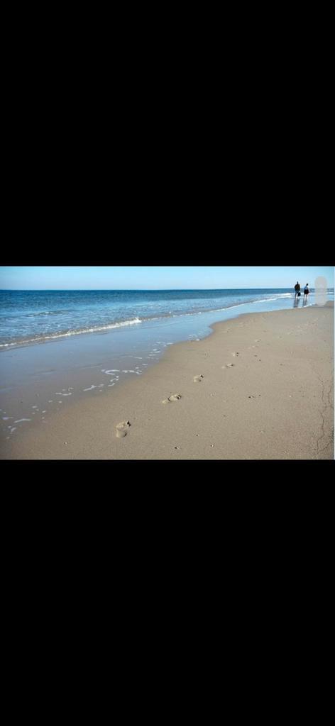 Vakantie aan zee (met paard) Callantsoog, Dieren en Toebehoren, Stalling en Weidegang