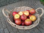 Kunst appels (met mandje en/of dienblad), Huis en Inrichting, Woonaccessoires | Overige, Ophalen, Gebruikt
