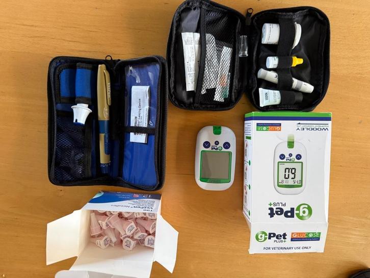 VetPen , glucosemeter en benodigdheden suikerziekte huisdier, Dieren en Toebehoren, Katten en Kittens | Overige Katten, Poes