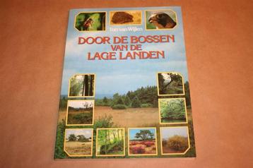 Door de bossen van de lage landen. beschikbaar voor biedingen