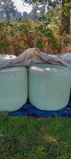 Midibalen hooi te koop. Perfect voor paarden., Zakelijke goederen, Ophalen of Verzenden