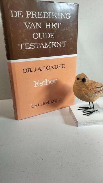 Loader, Dr. J.A.; Esther (POT) beschikbaar voor biedingen