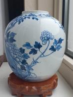 Chinees chinese, Ophalen of Verzenden