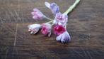 Poppenhuis: Bloemen x98, Ophalen of Verzenden, Nieuw, Poppenhuis