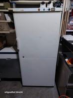 Horeca  vriezer, Huis en Inrichting, Ophalen of Verzenden, Zo goed als nieuw, 50 tot 100 cm, 150 tot 200 cm