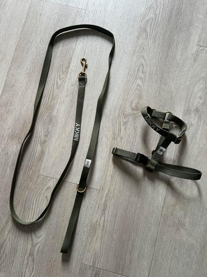 Charlie&Jones hondenriem + tuig met naam “MIKKY”, Dieren en Toebehoren, Hondenriemen, Zo goed als nieuw, Ophalen of Verzenden