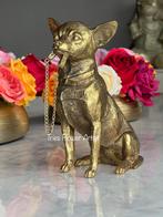 Chihuahua beeld gold Nieuw, Huis en Inrichting, Triesflowerartist@outlook.com, Verzenden, 3621HA, Nieuw