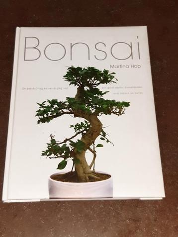 Bonsai nieuwstaat Martina Hop beschikbaar voor biedingen